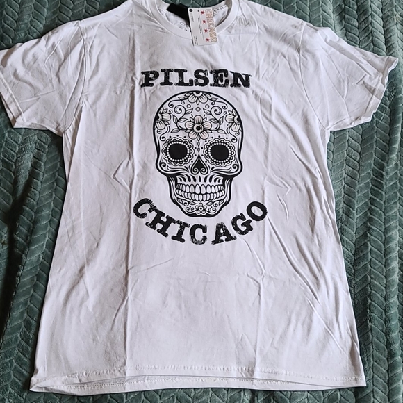 Hanes Other - Chicago Neighborhood Collection Pilsen skull tee